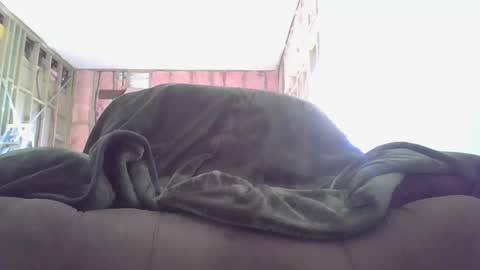 Snapshot of goodcock12345 chatting on 12-03-24, 08:28 goodcock12345 online show from 12-03-24, 08:28