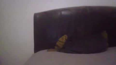 Snapshot of goodcock12345 chatting on 02-19-25, 06:55 goodcock12345 online show from 02-19-25, 06:55