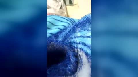 Snapshot of googl111 chatting on 07-25-26, 06:38 googl111 online show from 07-25-26, 06:38