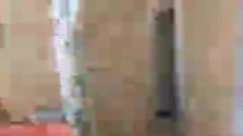 Snapshot of gordito_xx chatting on 07-28-26, 09:14 gordito_xx online show from 07-28-26, 09:14