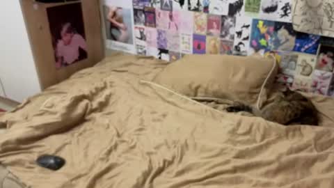 Amy online show from 07-10-26, 06:32