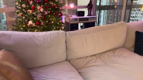 Snapshot of graciemae_baexx chatting on 01-17-25, 10:23 Gracie Mae online show from 01-17-25, 10:23
