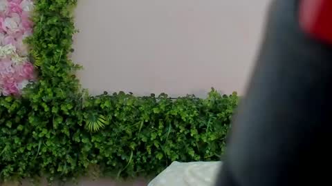 Mi Name is violeta  online show from 03-01-25, 04:15