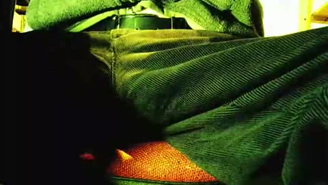 grapefruit online show from 11-12-25, 09:21