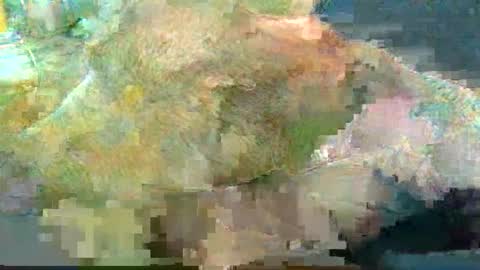 greatbiggs6969 online show from 01-02-25, 02:35