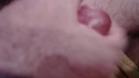 Greg online show from 01-18-25, 04:31