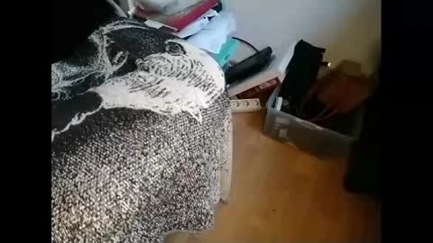 Greg online show from 01-21-25, 09:46