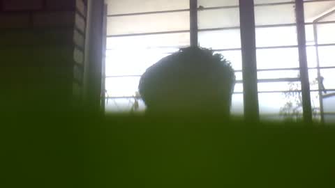 Snapshot of grey_stud chatting on 02-24-25, 05:22 Grey Stud online show from 02-24-25, 05:22