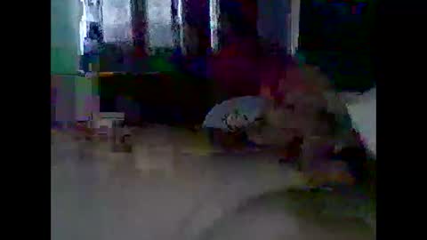 grittslappa online show from 11-11-25, 12:21