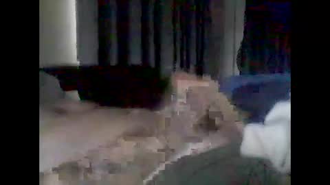 grittslappa online show from 02-17-26, 01:24