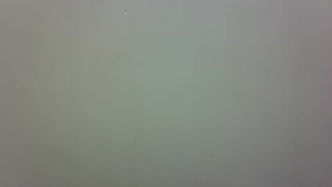 growerboy25 online show from 11-26-25, 02:56