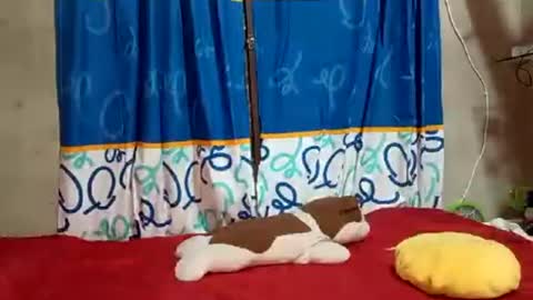 gusang92 online show from 07-20-26, 04:38