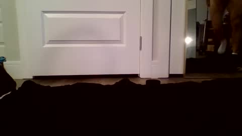 Guy Spartan online show from 01-12-26, 05:07