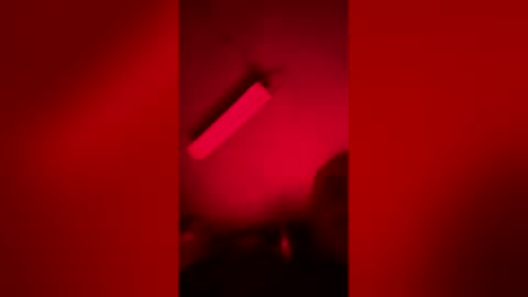 gypsynova777 online show from 04-14-26, 10:43