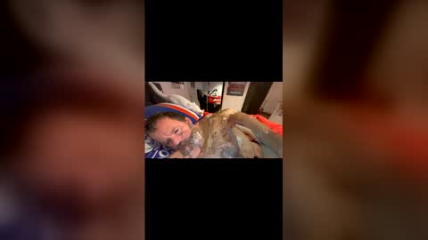 h20976 online show from 03-22-26, 11:35