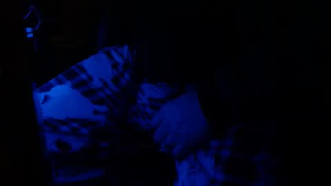 Snapshot of h2omygod chatting on 01-25-25, 09:26 H2omygod online show from 01-25-25, 09:26