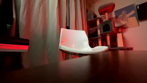 haildave6 online show from 04-26-26, 12:41