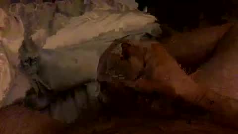 Snapshot of hairbear5 chatting on 02-04-26, 03:45 Bruce online show from 02-04-26, 03:45