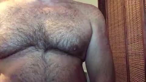Snapshot of hairbear5 chatting on 05-24-26, 02:22 Bruce online show from 05-24-26, 02:22