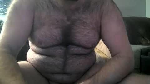 Snapshot of hairiestbear chatting on 02-08-25, 10:39 Hairiest Bear online show from 02-08-25, 10:39
