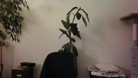 hairypussylover089 online show from 06-24-26, 04:11