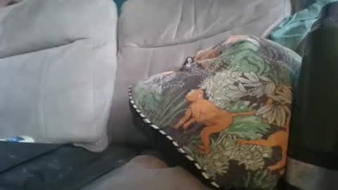 Snapshot of handncocknocum chatting on 01-06-26, 08:51 handncocknocum online show from 01-06-26, 08:51