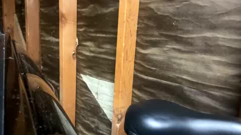 Snapshot of handsomeda1 chatting on 02-01-25, 02:47 handsomeda1 online show from 02-01-25, 02:47