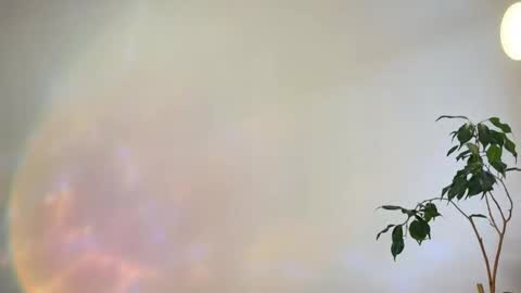 hannah levis  online show from 02-25-26, 08:02