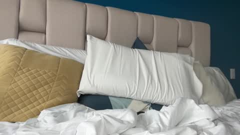 Snapshot of hanzlagerfelt chatting on 11-04-25, 08:52 hanzlagerfelt online show from 11-04-25, 08:52