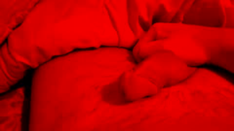 Small things matters online show from 03-06-26, 07:21