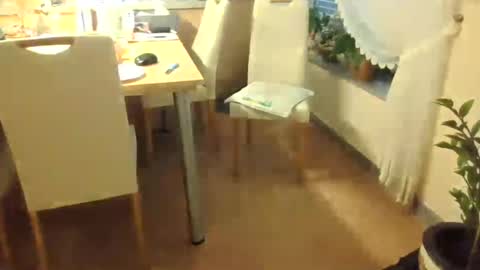 harald1234 online show from 07-26-26, 01:18
