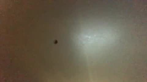 Snapshot of hardforyou3030 chatting on 09-28-25, 11:21 For You online show from 09-28-25, 11:21