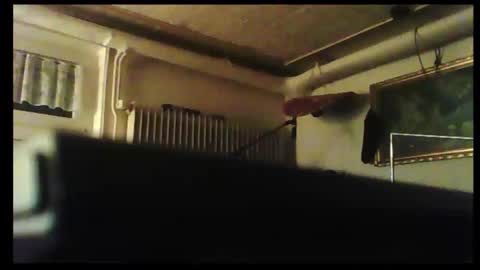 hot n  nasty online show from 12-08-24, 03:24