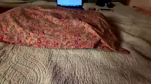 Amber  -   or vip  online show from 03-08-26, 04:05