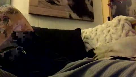 HBSethy online show from 01-11-25, 07:06