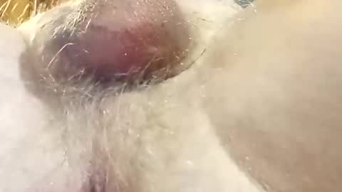 Snapshot of hcross2448 chatting on 02-22-25, 03:01 hcross2448 online show from 02-22-25, 03:01