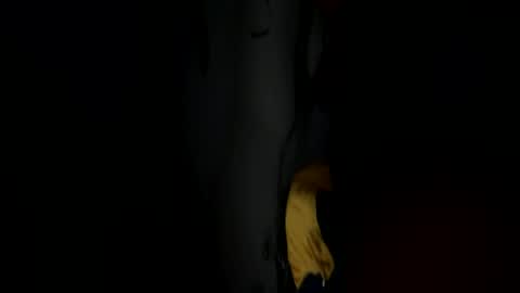 Snapshot of headlessshorseman01 chatting on 07-03-26, 05:47 Eduardo online show from 07-03-26, 05:47