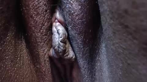 Snapshot of heatherjee chatting on 10-28-25, 03:36 Heather online show from 10-28-25, 03:36