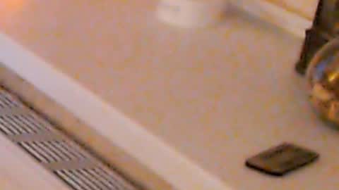 Heaven girl online show from 01-04-25, 02:14