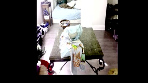 HenryFlapper online show from 01-04-25, 07:44