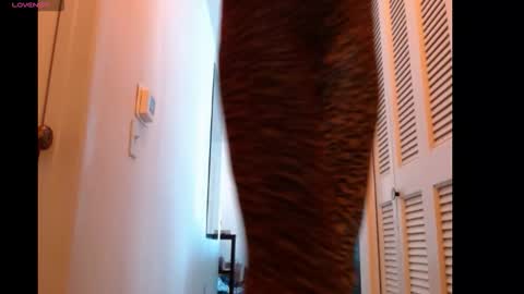 hevin69 online show from 02-15-26, 07:10