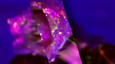 Alina online show from 03-15-26, 05:08