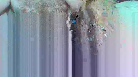 Snapshot of hi_to_you chatting on 06-03-26, 08:17 hi_to_you online show from 06-03-26, 08:17
