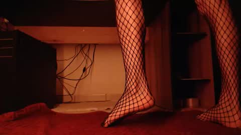 InMyAss online show from 01-19-26, 02:04