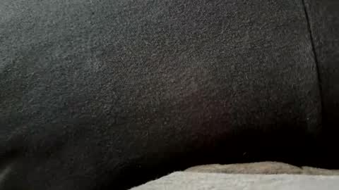 higheguy online show from 02-20-26, 05:46