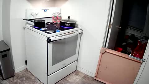 Highnesscali37 online show from 12-31-24, 04:27