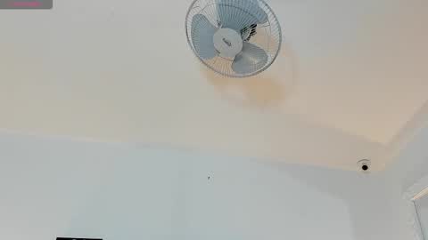 hilary_tailor online show from 01-06-26, 11:25