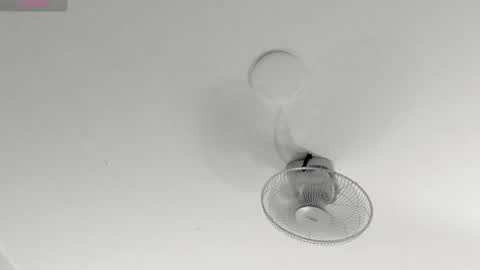 hilary_tailor online show from 01-09-26, 11:02