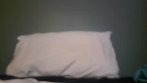 Snapshot of hippopotamus7 chatting on 09-09-25, 04:01 hippopotamus7 online show from 09-09-25, 04:01