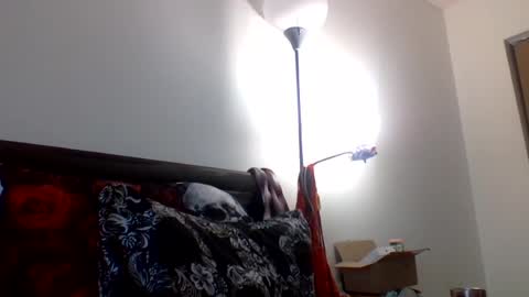 hippysnewhere online show from 07-23-26, 11:46